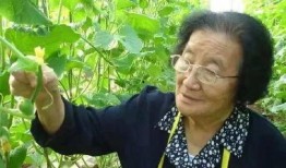 吃瓜小说娱乐圈鼻祖是谁,吃瓜小说的起源与影响